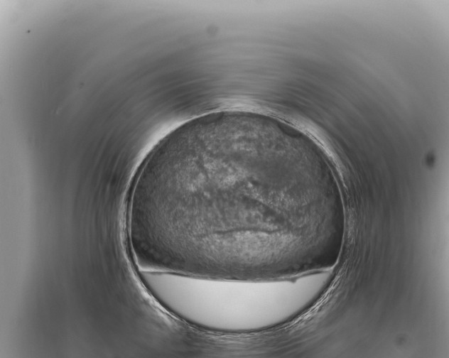 X0000095511048200712211235