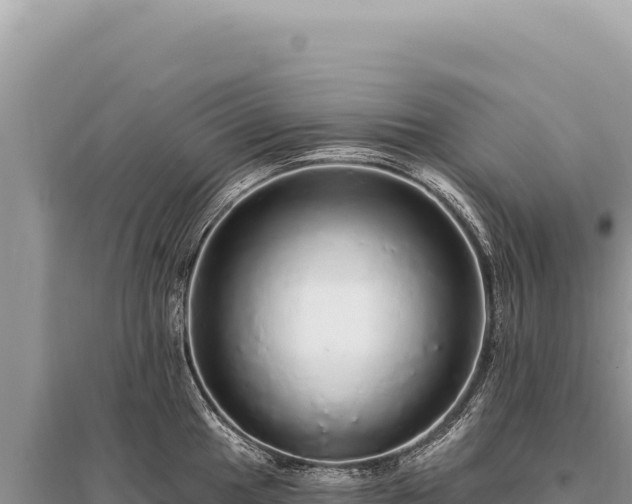 X0000095511049200712211235