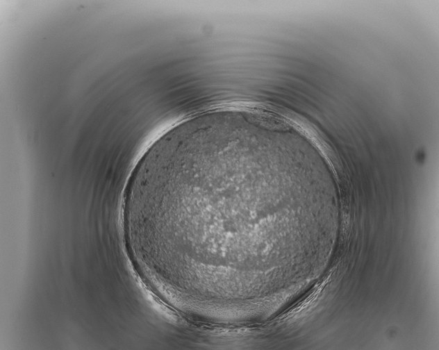 X0000095511050200712211235