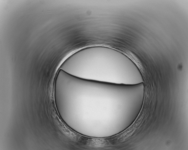 X0000095511052200712211235