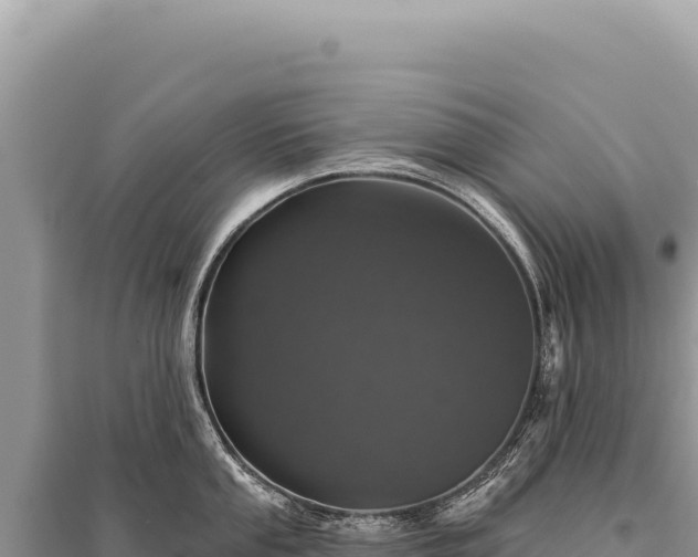 X0000095511053200712211235