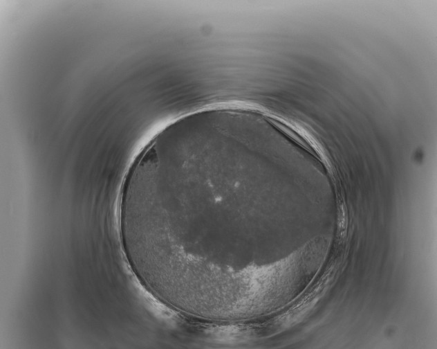 X0000095511054200712211236