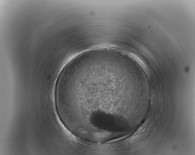 X0000095511055200712211236