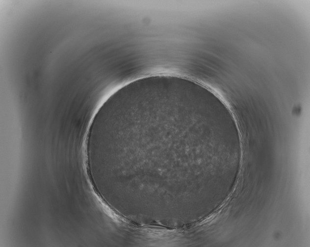 X0000095511056200712211236