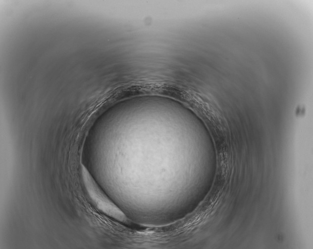 X0000095511057200712211235