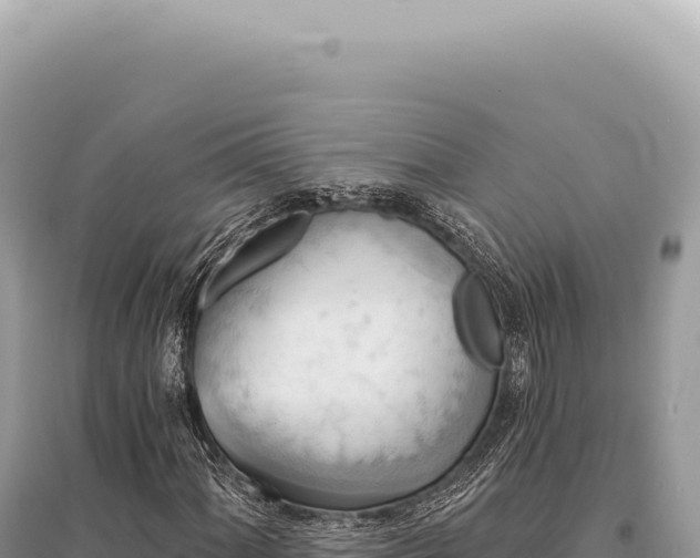X0000095511060200712211235