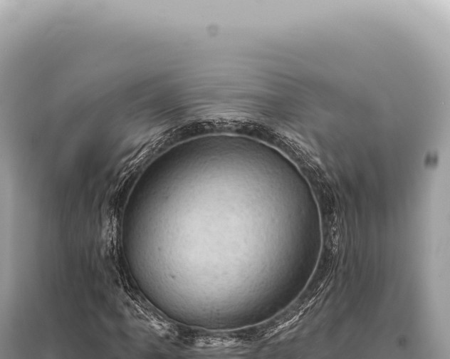 X0000095511061200712211235