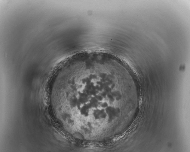 X0000095511063200712211235