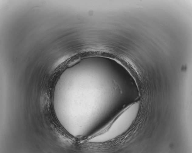 X0000095511064200712211235