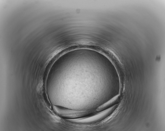 X0000095511065200712211235