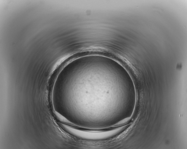 X0000095511066200712211235
