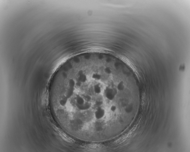 X0000095511067200712211235