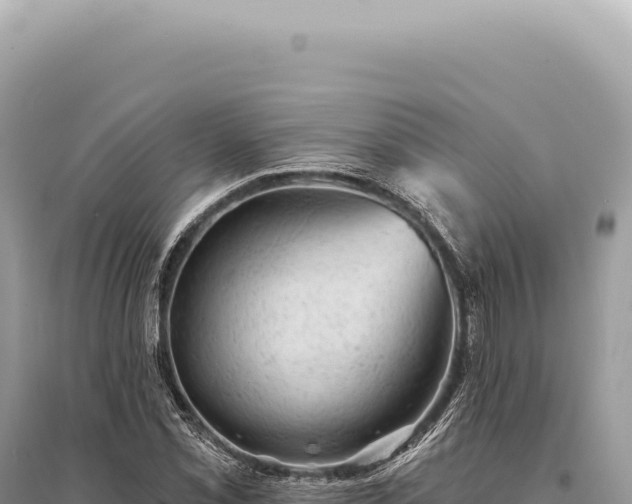 X0000095511069200712211235
