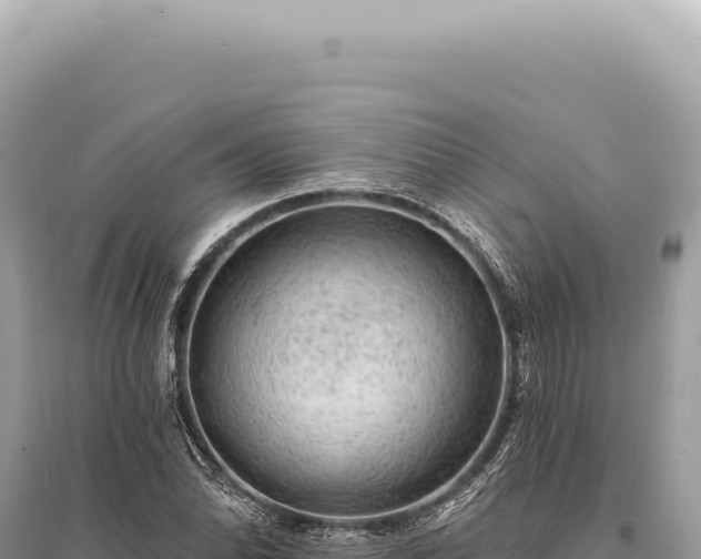 X0000095511070200712211235