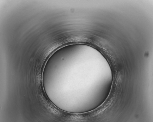X0000095511073200712211235