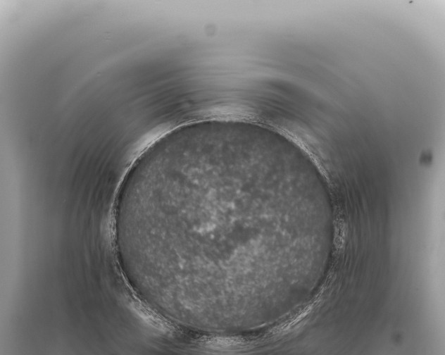X0000095511074200712211235