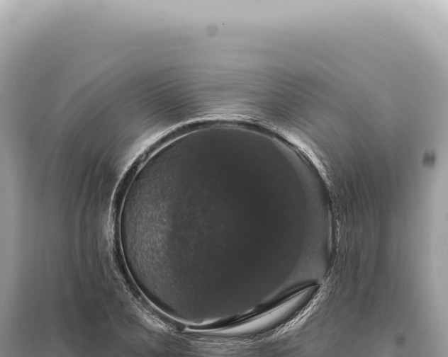 X0000095511077200712211235
