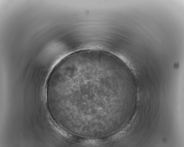 X0000095511078200712211235