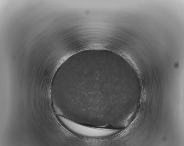 X0000095511081200712211235