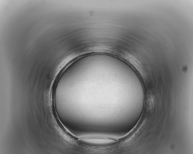 X0000095511082200712211235