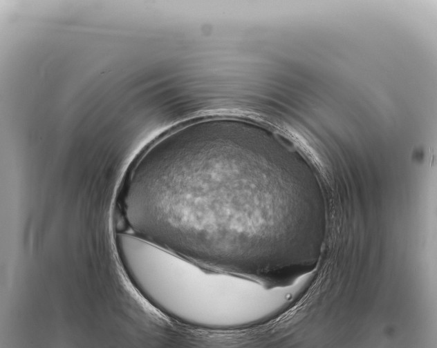 X0000095511084200712211234