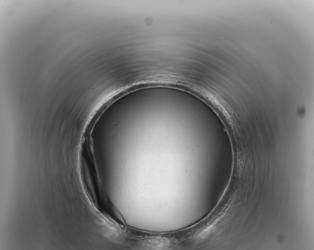 X0000095511085200712211234