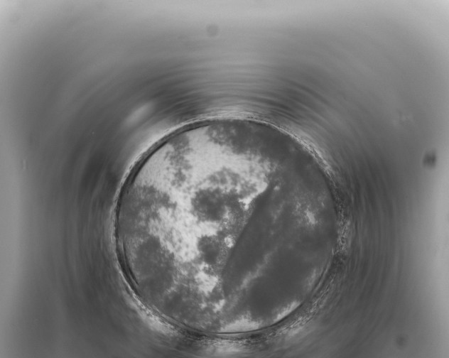 X0000095511086200712211234