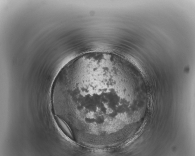X0000095511087200712211234