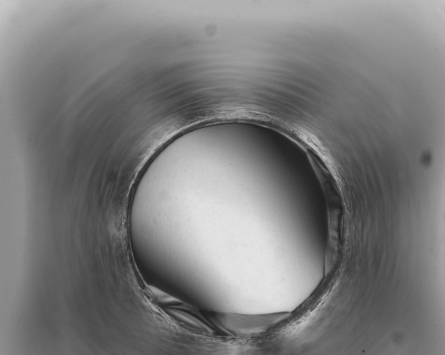 X0000095511089200712211234