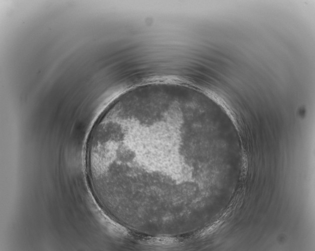 X0000095511090200712211234