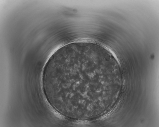 X0000095511091200712211234
