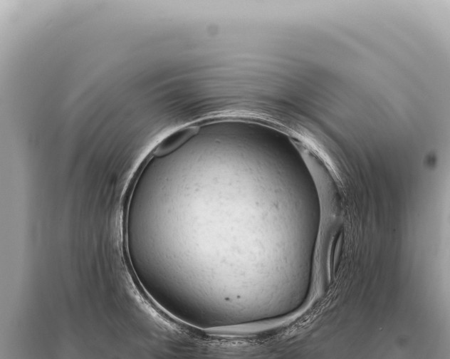 X0000095511092200712211234