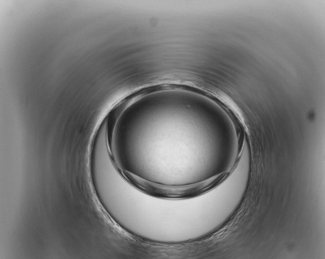 X0000095511096200712211234