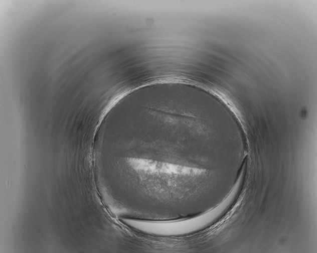 X0000095511097200712211234