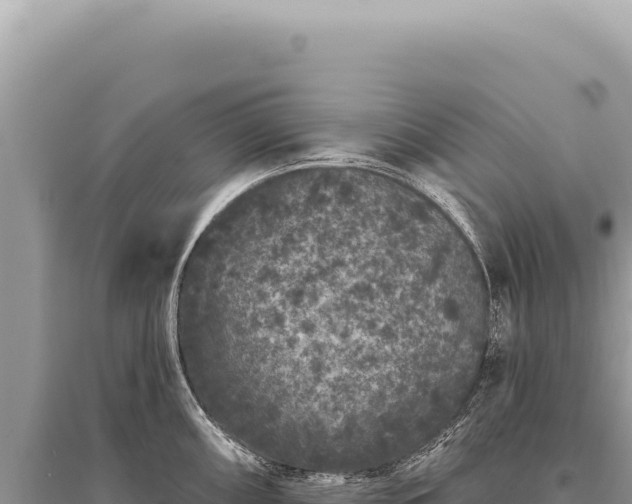 X0000095511098200712211234