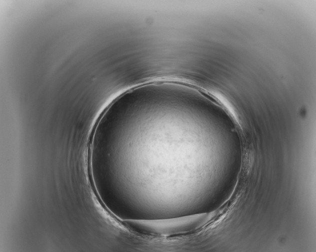 X0000095511100200712211234