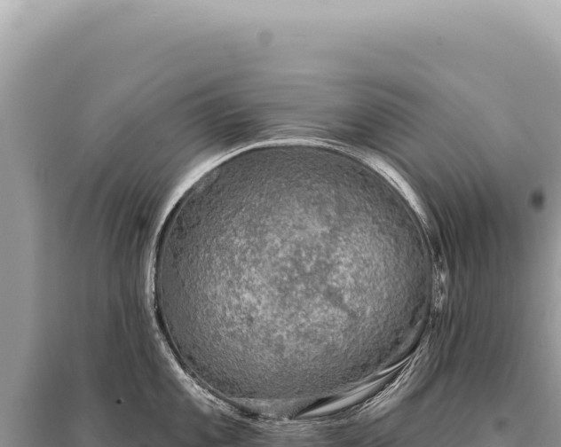 X0000095511101200712211234