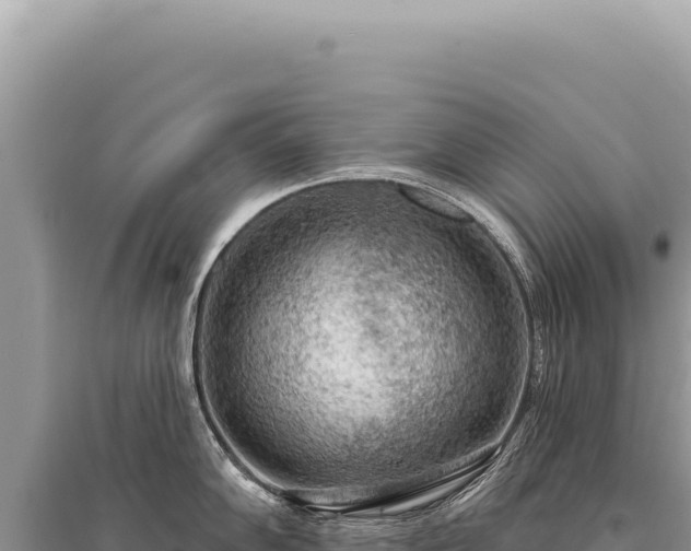 X0000095511102200712211234