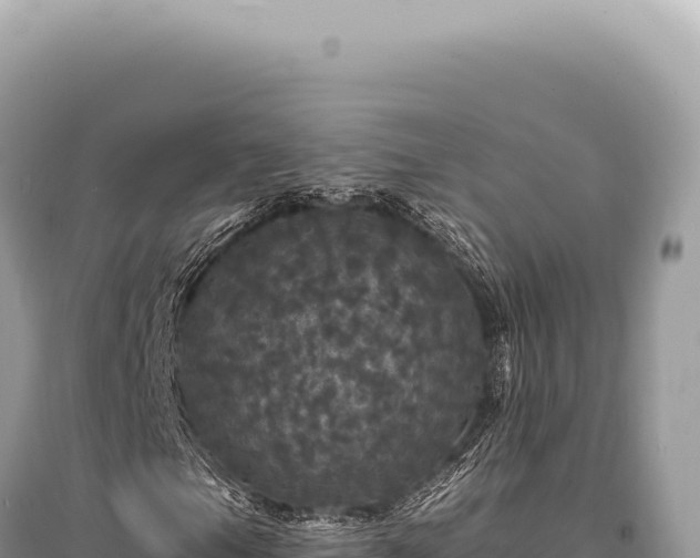 X0000095511105200712211234
