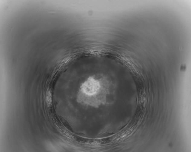 X0000095511106200712211234