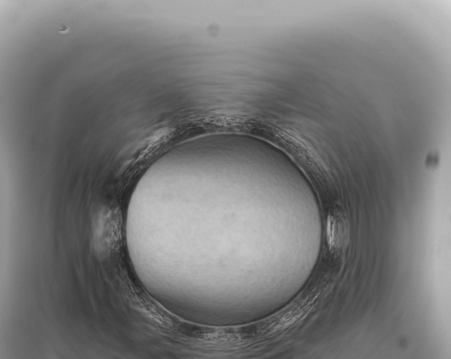 X0000095511107200712211234