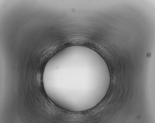 X0000095511108200712211234
