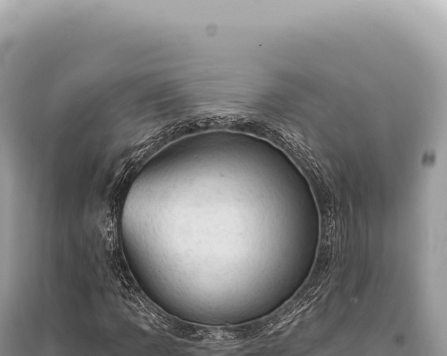 X0000095511109200712211234