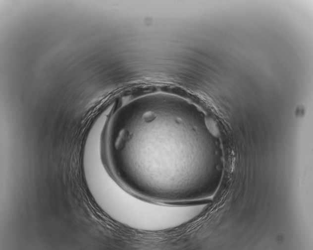 X0000095511110200712211234