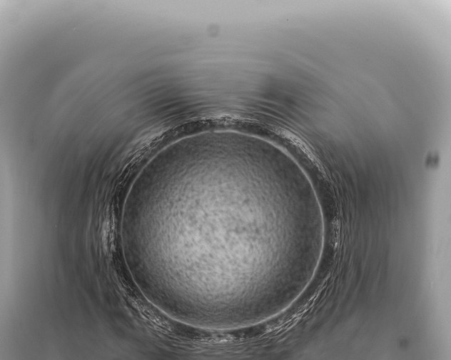 X0000095511111200712211234