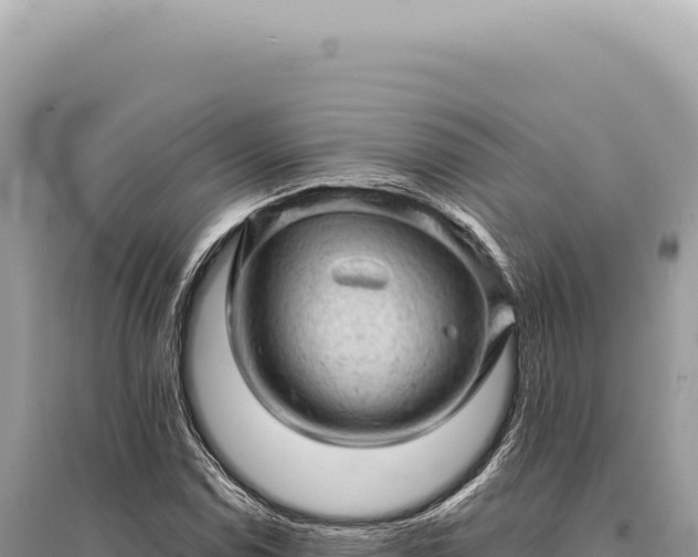 X0000095511114200712211234