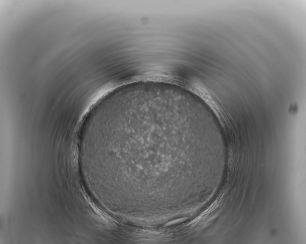 X0000095511115200712211234