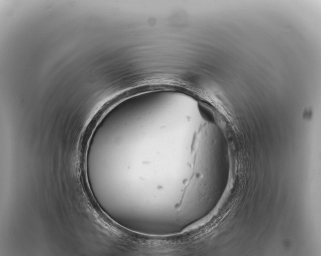 X0000095511116200712211234