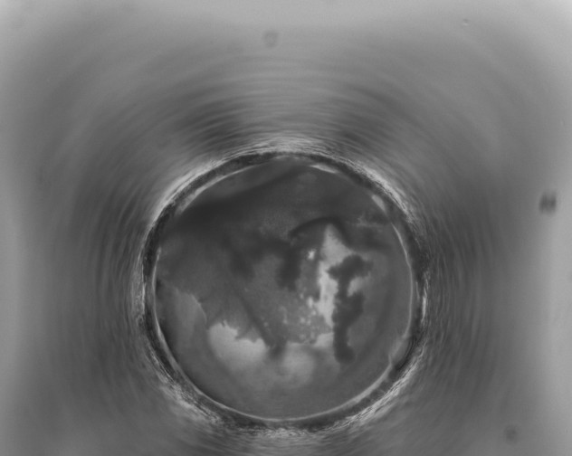 X0000095511117200712211234