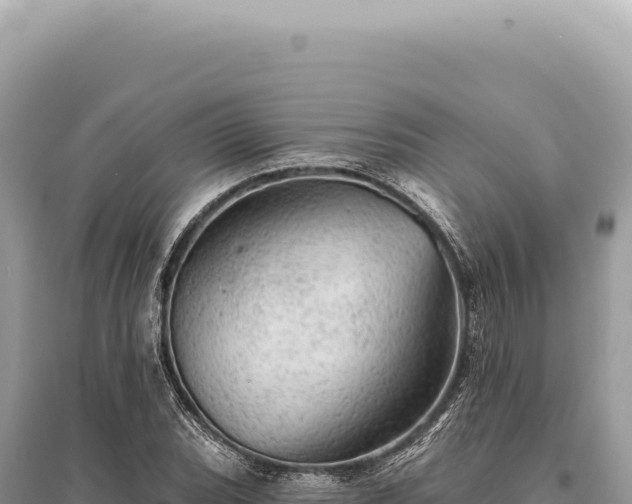 X0000095511119200712211234